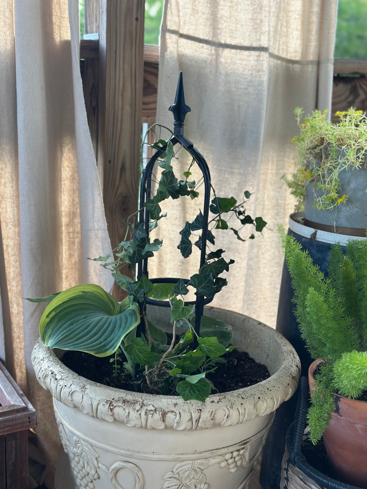 Under $10 obelisk trellis 

#LTKHome #LTKSeasonal #LTKMothersDay
