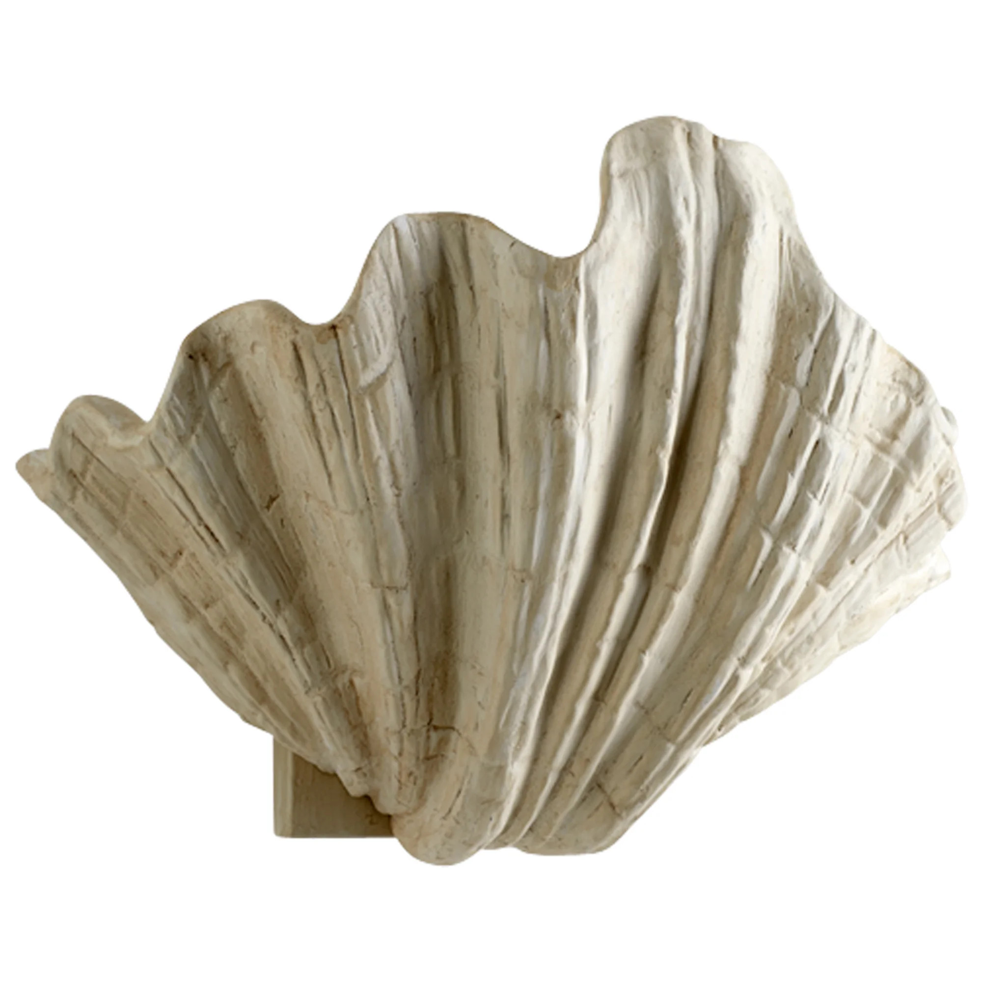 Shelly 1 - Light Wall Scone | Perigold