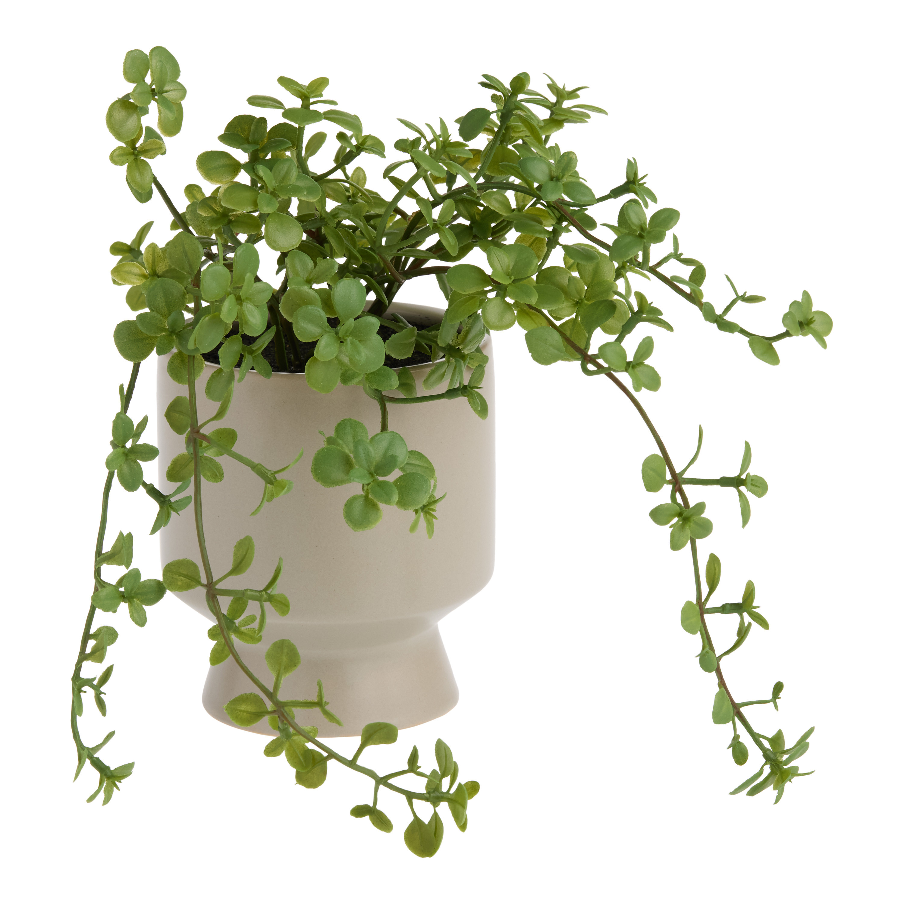 Mini Faux Pittosporum Plant in Gray Pedestal Pot | World Market