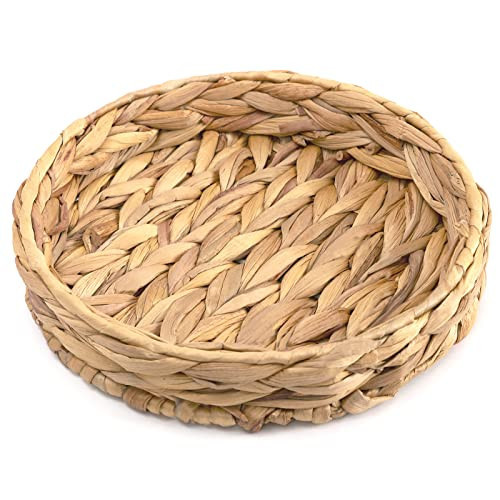 LOHASBEE Round Wicker Baskets, 9.8x9.8x2 Inch Hand Woven Tray Storage Baskets Natural Water Hyacinth Small Basket for Fruit Kitchen Table | Amazon (US)