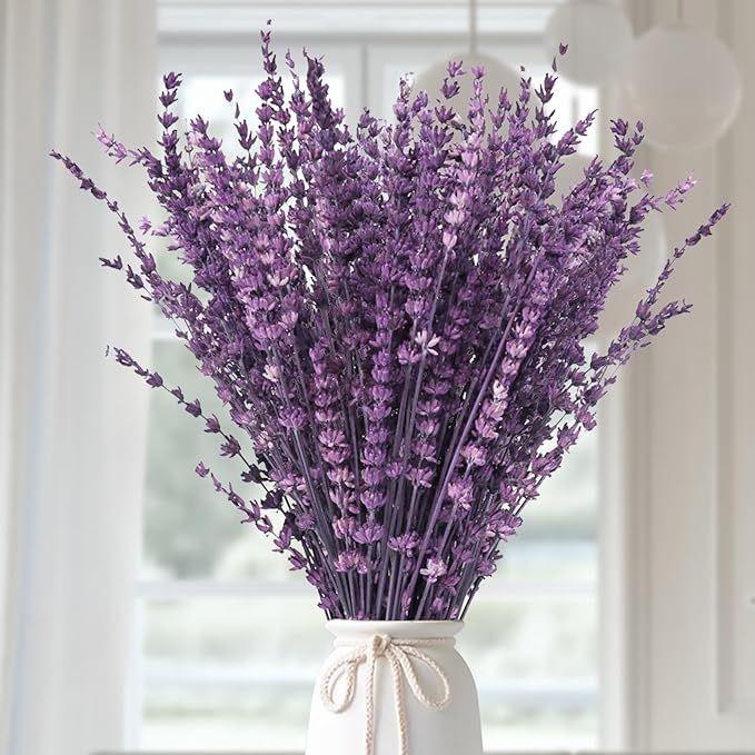 Dried Purple Lavender Flowers Bundle-Dried Preserved Lavender Bouquet 15-17" for Shower Weeding H... | Amazon (US)