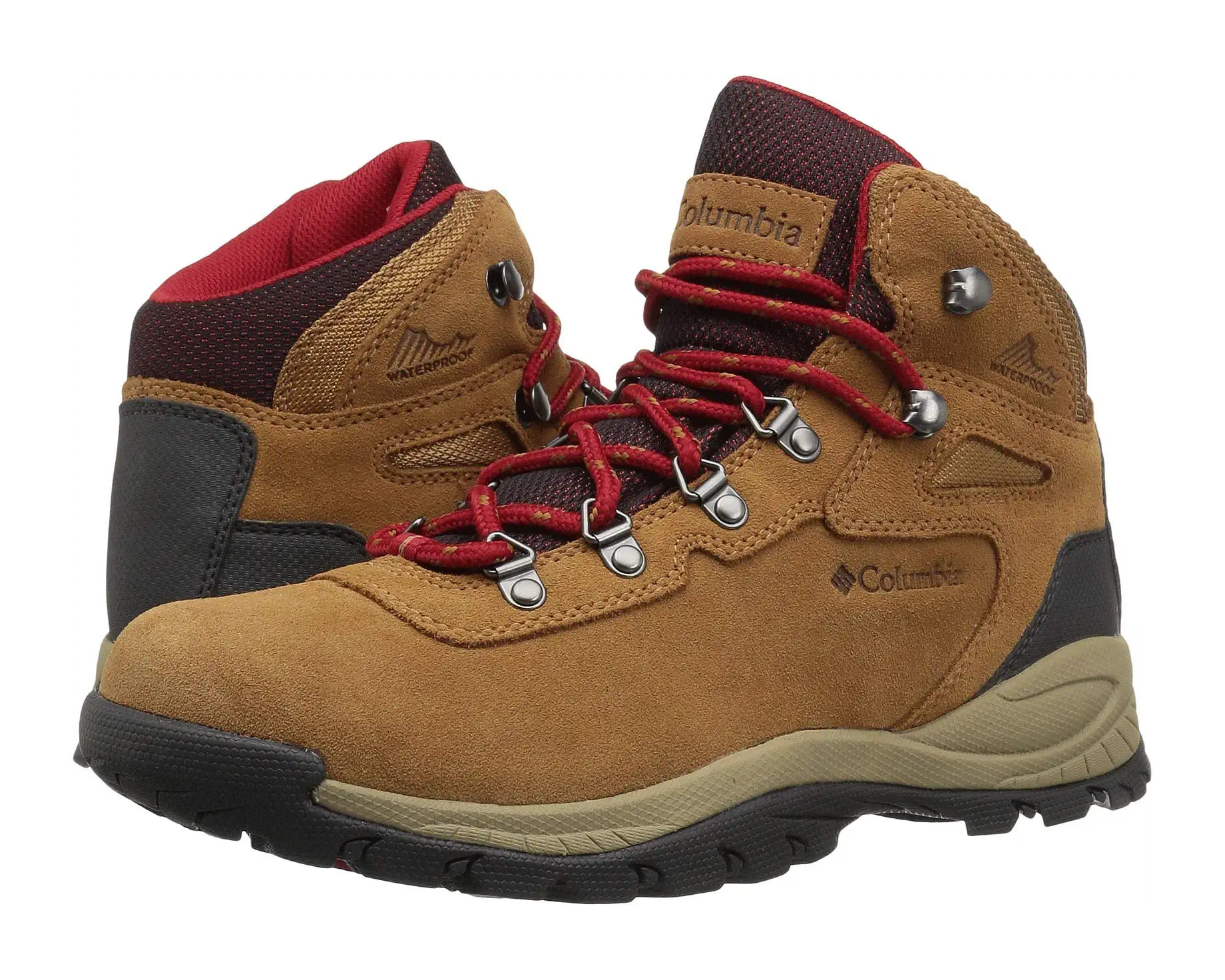 Newton Ridge Plus Waterproof Amped | Zappos