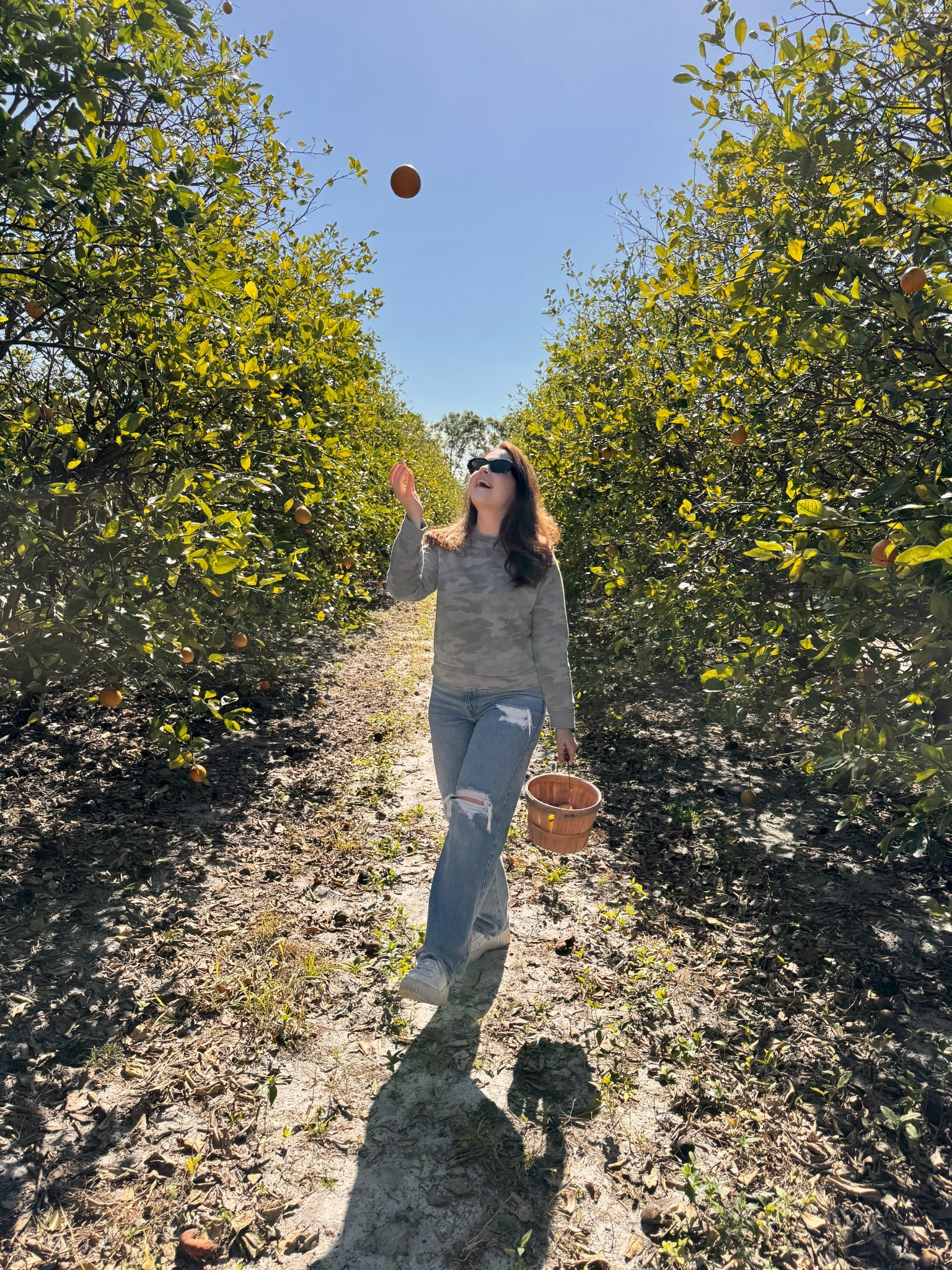 Orange Picking Fit! 🍊
Perfect outfit for a day in the grove — comfy, cute, and ready to pick some fresh oranges!

#LTKFindsUnder100 #LTKActive #LTKSeasonal