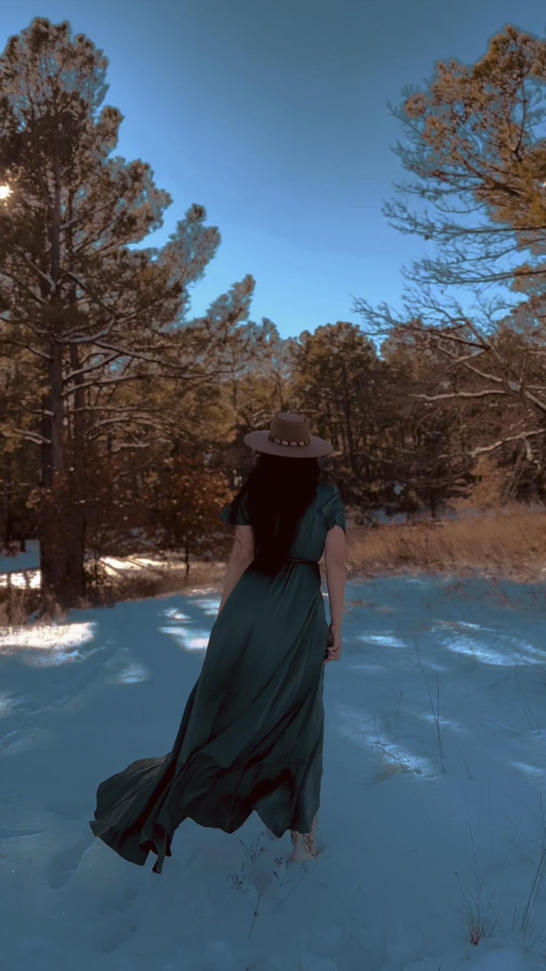 One of those main character moments 🖤

#snowphotoshoot #texasphotographer #flowydress #photoshootdress #maxidress 

#LTKSeasonal #LTKStyleTip #LTKMidsize