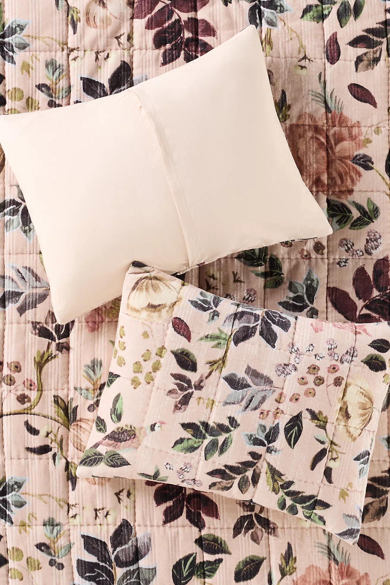 Seren Floral Velvet Shams, Set of 2 | Anthropologie (US)