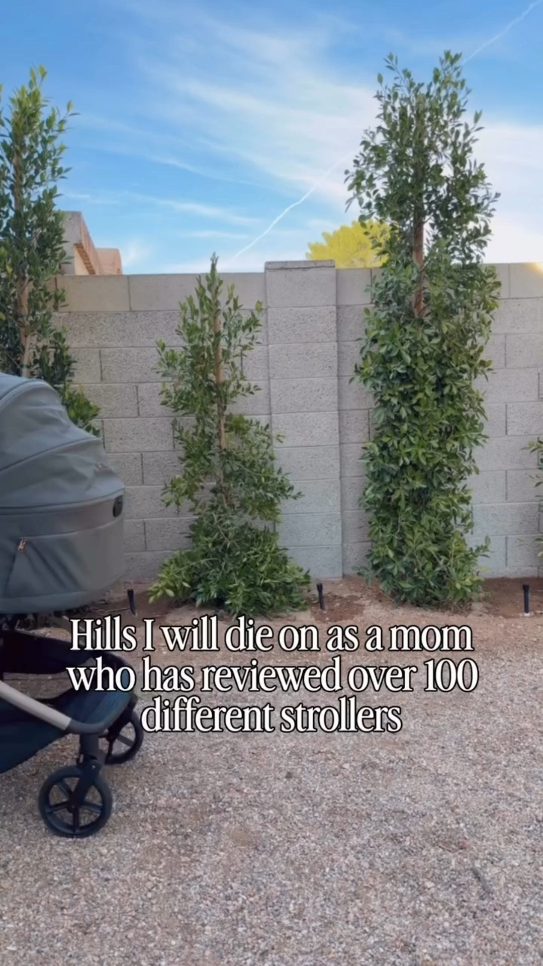 What do you think? 🤔 

- There is no “perfect” stroller. Every family has different needs, lifestyles, priorities, and budgets. 
- You might need more than one stroller…If you want a stroller you can jog with and travel with, it’s hard to find one that will do both…
- Single-to-Double strollers are not amazing as a single and a double. Pick one and know there will be trade-offs.
- A car seat on wheels is not a stroller. 😜

Hit the follow button!! I would love to help you find the best stroller for your family! 🤍

#LTKmomlife #LTKBaby #LTKKids