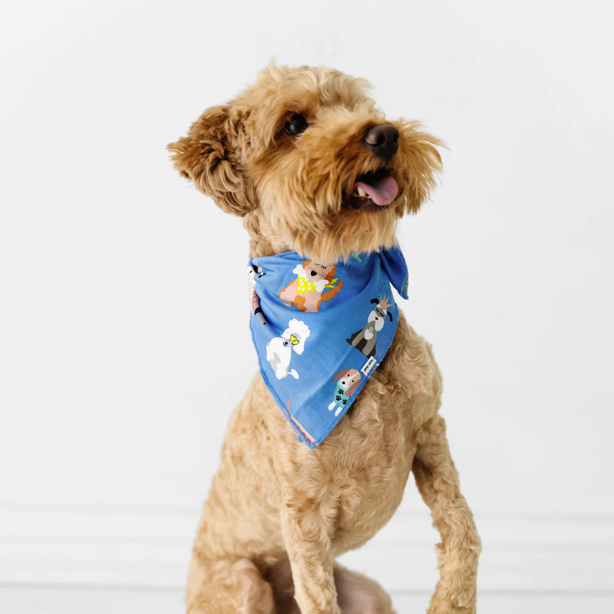 Dapper Dogs Pet Bandana | Little Sleepies