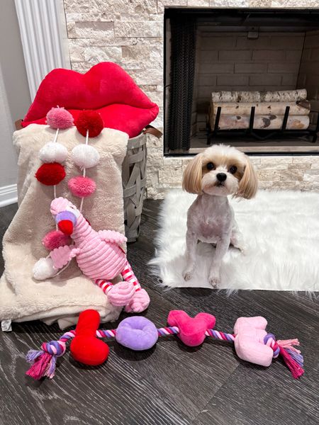 Valentine’s Day // dog toys // Valentine’s home comforts // vday // 



#LTKMostLoved #LTKhome #LTKfamily