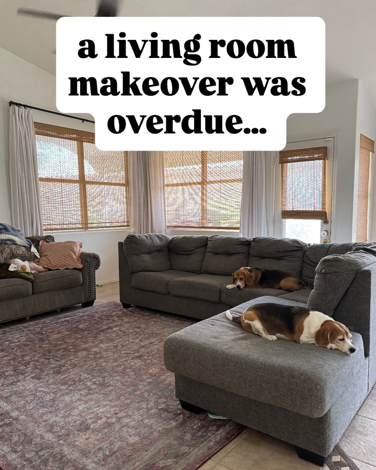 living room makeover. it’s been over 6 months since we started our living room redo! we are absolutely head over heels for our velvet green sectional! 100/10 would recommend

sectional color: essex
curtains color: ivy

the first rug was a “cloud-pile” loloi rug and while I thought it was absolutely gorgeous when we first bought it I do not recommend a cloud pile for a high traffic area. The soft fibers flattened and ultimately made the rug look faded. I would totally get a cloud pile rug for a bedroom or room that is not used nearly as much as a living room though!! 


#LTKdayinmylife #LTKHome #LTKstorytime