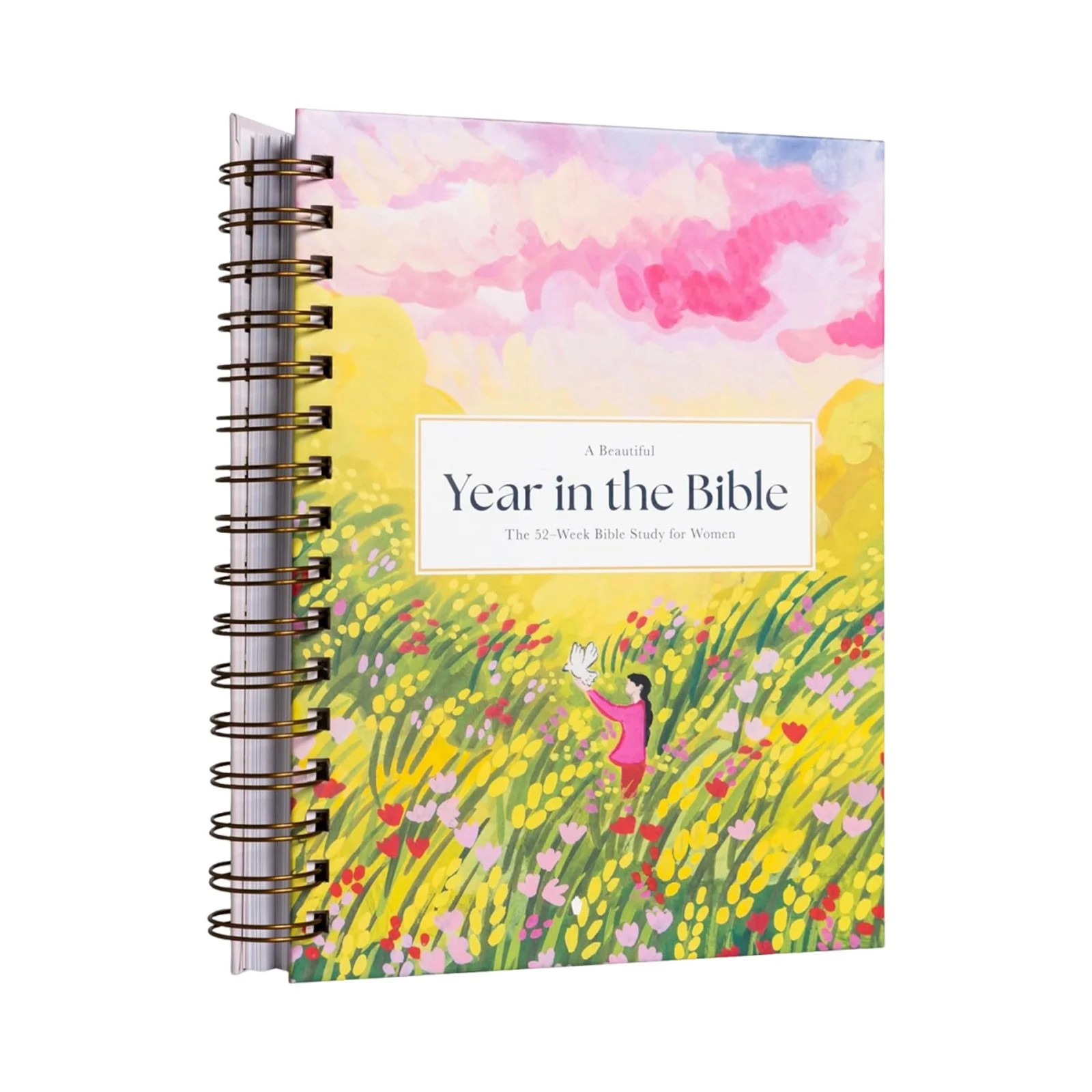 Clearance A Beautiful Year in the Bible: The 52-Week Bible Study for Women - Spiral bound edition | Walmart (US)