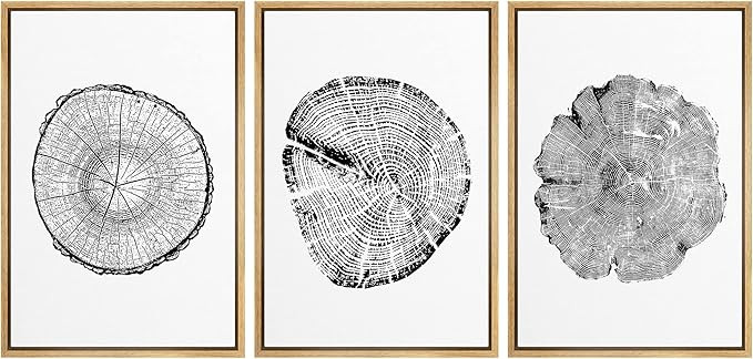 wall26 Framed Wall Art Print Set Boho Black and White Wood Grain Tings Nature Wilderness Digital ... | Amazon (US)