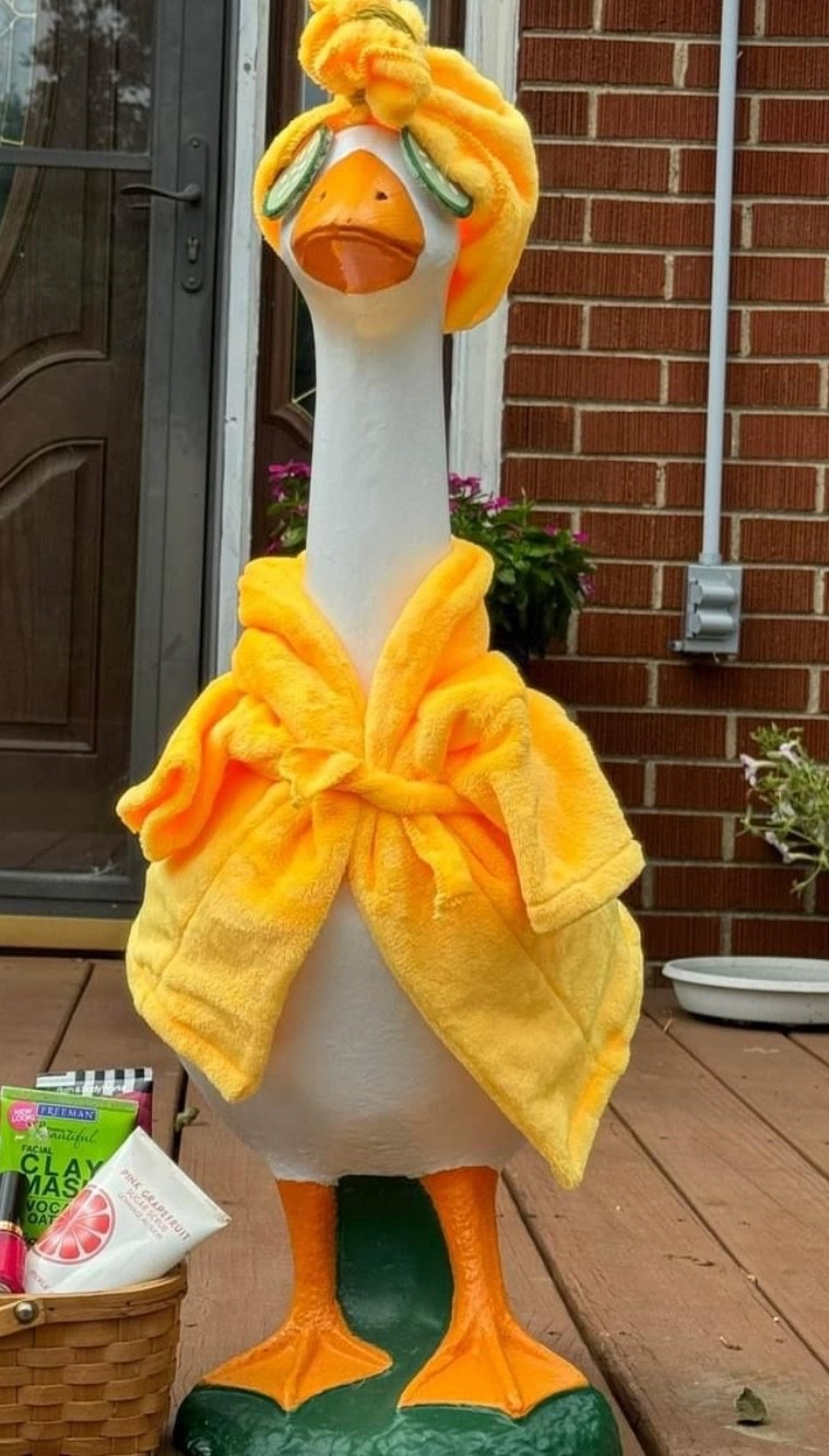 Porch Goose outfit ideas! Dress your goose up for every holiday! 

#LTKdayinmylife #LTKSeasonal #LTKootd