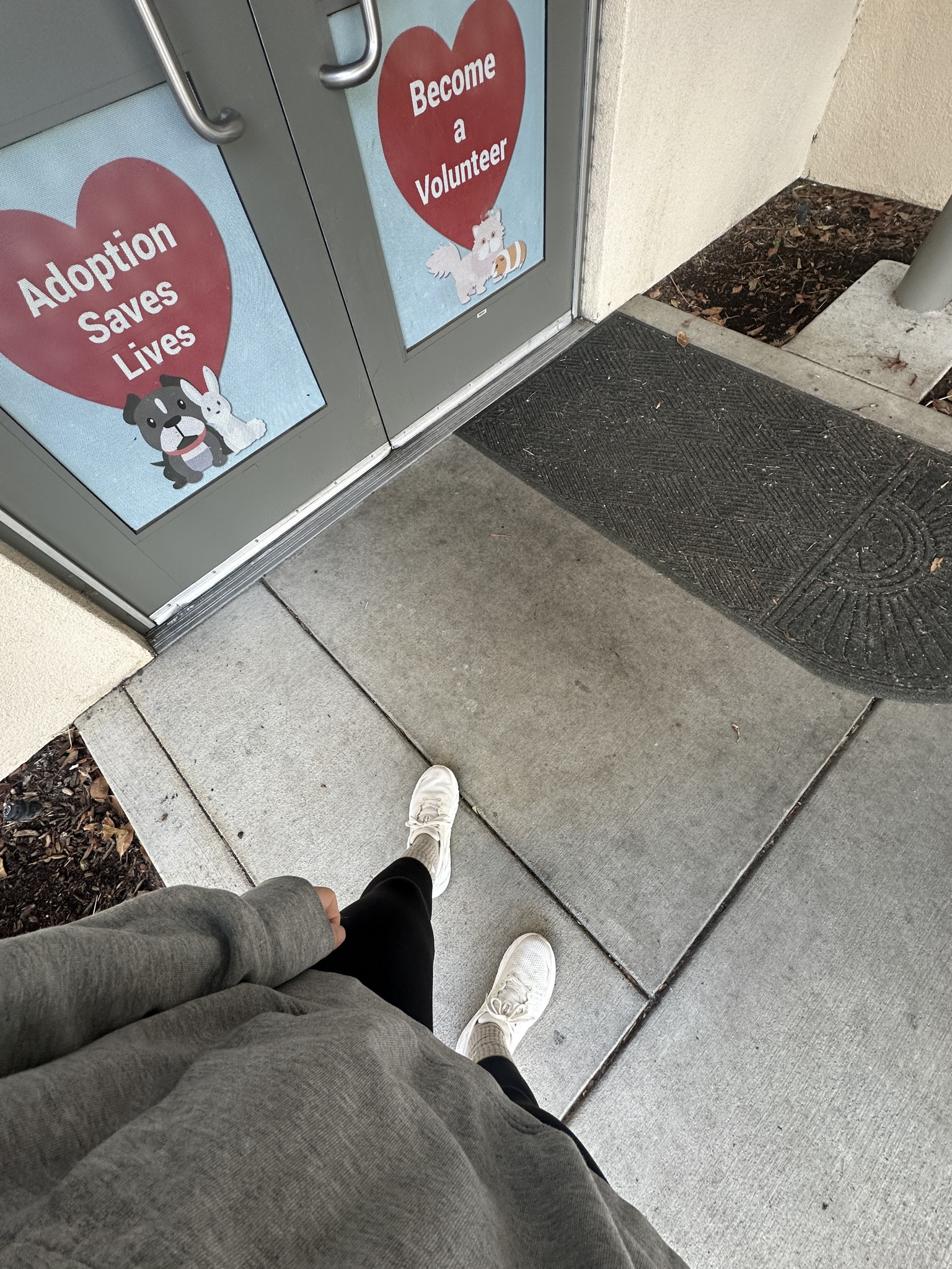 The holidays are a great time to volunteer or donate at your local shelter! The need is high this time of year. 
.

.

.

.
LTKPets


#LTKActive #LTKmorningroutine #LTKdayinmylife