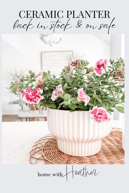 Back in stock and on sale!

Love this fluted ceramic planter from Walmart. I have the 8” pictured here.
Ceramic planter, fluted planter pot, white ceramic planter with fluted sides. Home decor, kitchen island decor, dining table decor, indoor flower pot, outdoor flower pot. 
#walmart 

#LTKsalealert #LTKhome #LTKFind