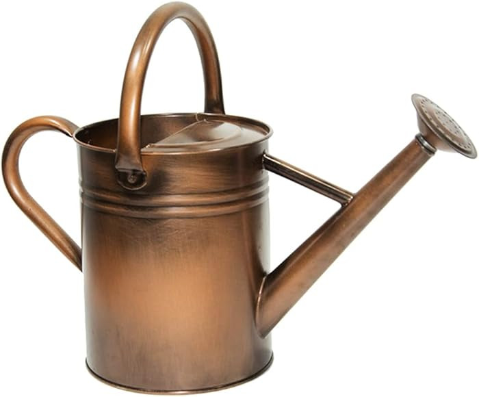 yourjoy Galvanized Metal Watering Can, One Gallon Watering Cans for Outdoor Indoor Garden Plants ... | Amazon (US)