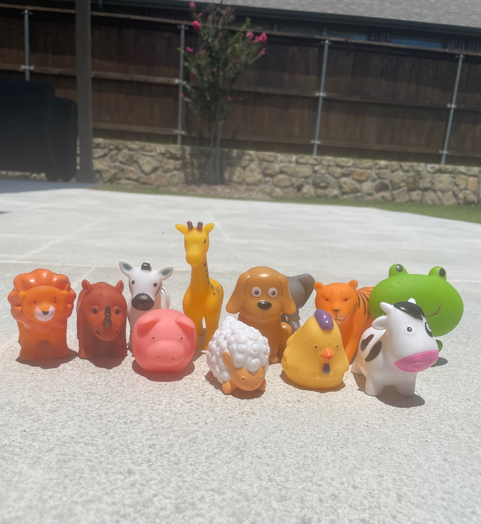 Mold and toxin-free pool & bath toys from Amazon☀️🌊🐠🐮🐥

#LTKfamily #LTKbaby #LTKkids