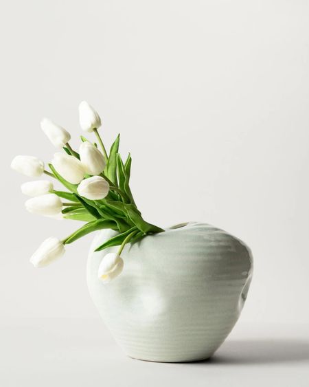 Love this organic modern vase

Irregular shape vase / tulips / home decor / neutral decor / spring decor 

#LTKSeasonal #LTKhome #LTKsalealert