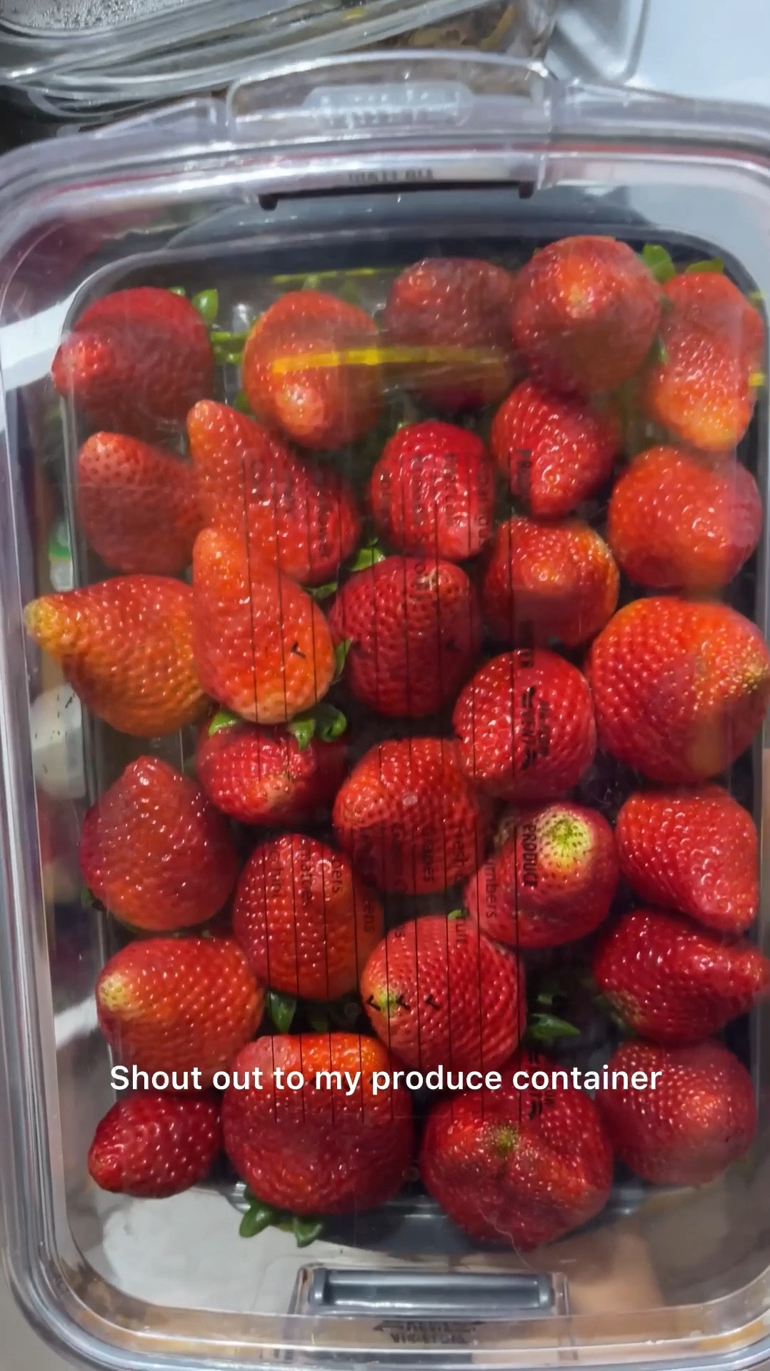 For back to school, I’m planning on saving money by packing lunch boxes as often as possible rather than opting for cafeteria lunch. My kids add on too many extra$$ so it’s best to bring lunch and make it exciting! 

We love filling bento boxes with healthy snacks, fruits, cheese, etc. my kids especially love berries! Our clear produce containers keep strawberries, cherries, grapes, blueberries, and even cut fruits fresher longer. 

NO MORE MOLDY BERRIES! Check out these berries I had stocked up on when on sale- they lasted a whole week absolutely looking perfect. 

The containers are clear so my kids can can see exactly what’s in the fridge, and that encourages them to eat more of the fresh stuff! They’re stackable so our family’s fridge stays a bit better organized too. 

#LTKHome #LTKFindsUnder100 #LTKFamily