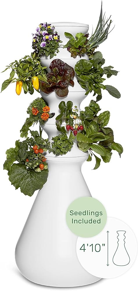 Lettuce Grow Farmstand Starter Kit + Seedlings | Medium Hydroponic Growing System Kit | Self-Wate... | Amazon (US)