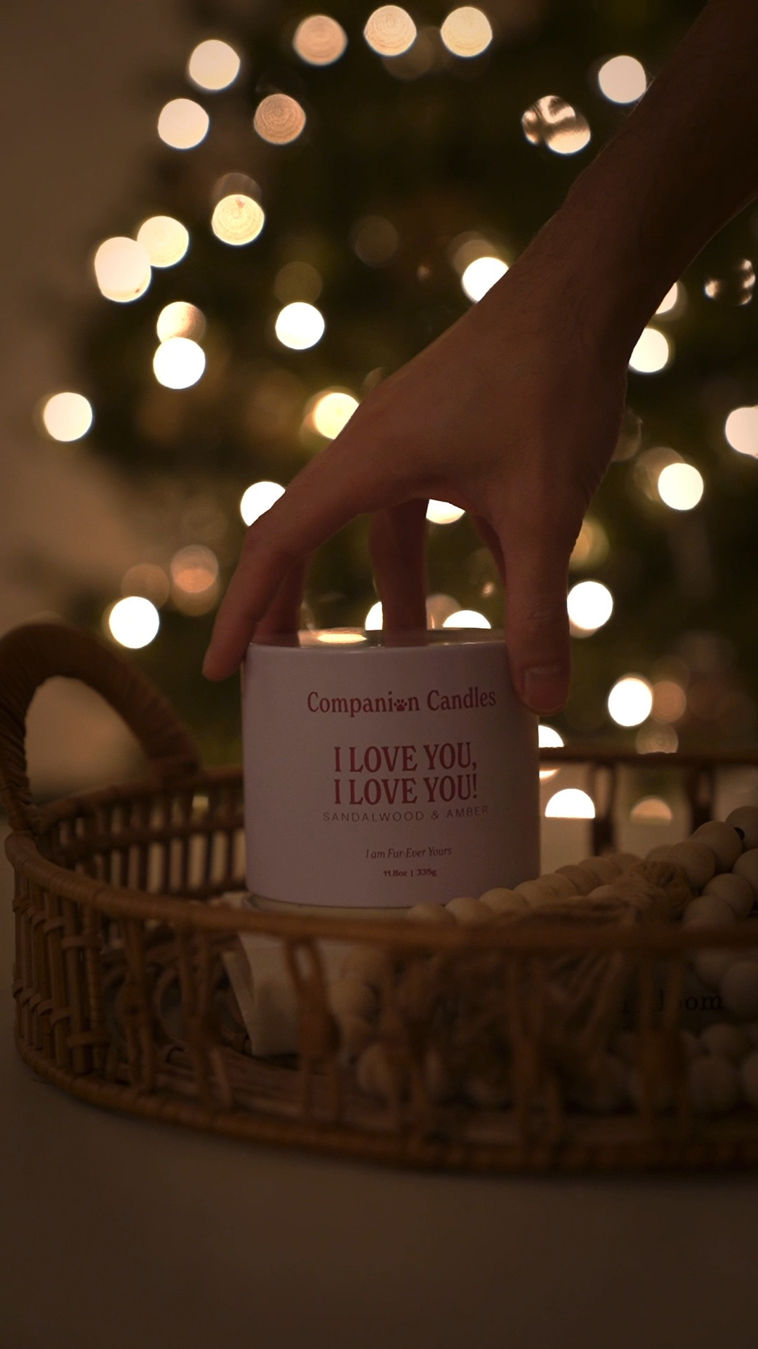 Setting the mood with our fave pet-friendly candle!  

#LTKGiftGuide #LTKHoliday