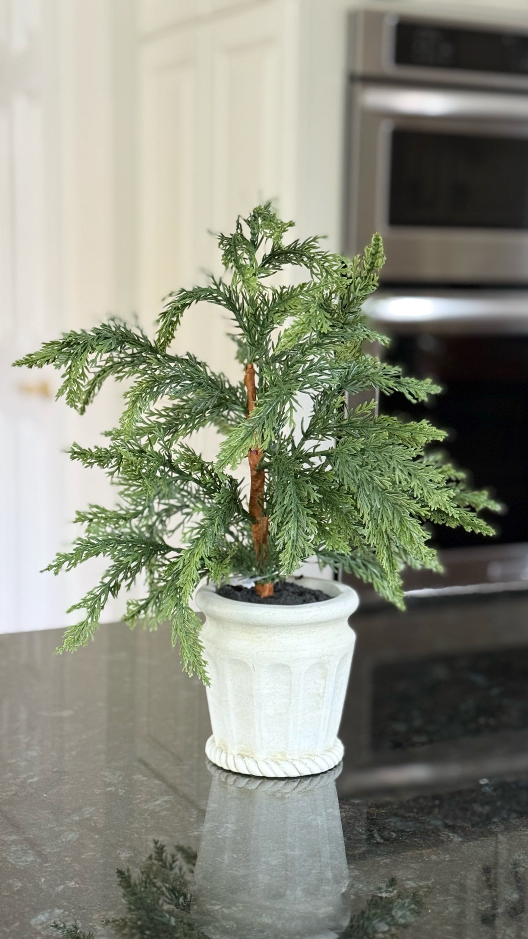 These little trees from Kohls are with $13.99!  They have real touch, two tones branches and they stand about 12-14 tall  

#LTKHome #LTKSaleAlert #LTKHoliday