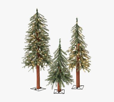 Pre-Lit Faux Battery-Operated Alpine Trees with Clear Lights - Set of 3 - 2', 3', & 4' | Pottery Barn (US)