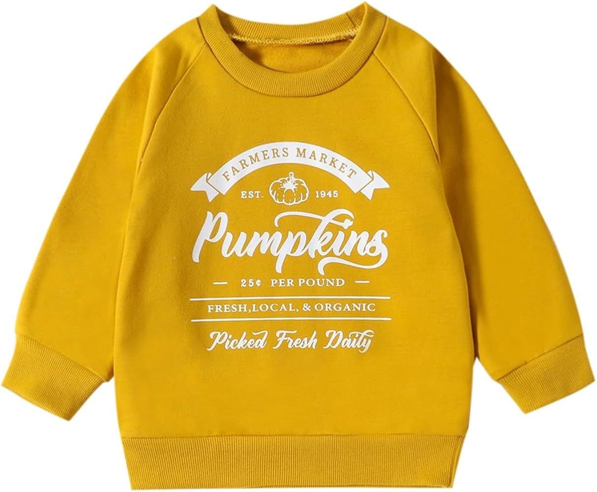 Halloween Outfit Baby Girl Boy Hooded Sweatshirt Long Sleeve 12 18 24 Months Pullover Sweater Hal... | Amazon (US)