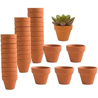vensovo 48 Pcs Tiny Terracotta Pots - 2 inch Small Mini Clay Pots with Drainage Holes Flower Nurs... | Amazon (US)