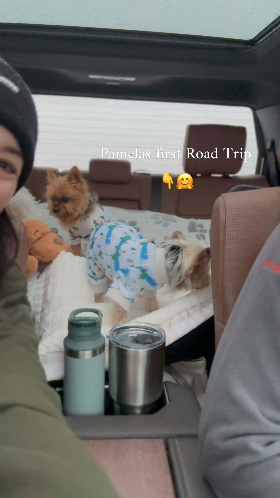 Ready for an impromptu road trip with your pups? Here’s your essential packing list for a paw-some adventure for you and them!
- bins and packing bags instead of luggage
- always bring our blender and frother to an Airbnb 
- detergent sheets
- dog truck bench seat bed
- car organization 
- car heated blanket
- over the ear noise canceling headphones 
- dog food mats
- audible is a must
- Protein shakes for on the road
- travel slippers
- silk pillowcase
- shopping cart pet bed
- tick remover
- washable XL pee pads
- wet bag
- headache cold wrap
- octobuddy phone suction ❤️❤️ especially on vacations
- cold/ hot stainless steel cup
- food/ snack  storage 
- pet pjs
#ltkover40 #ltkhome #ltktravel

#LTKFindsUnder100 #LTKFindsUnder50 #LTKWatchNow