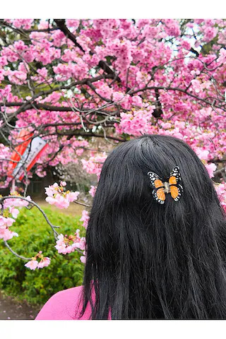 Hand-painted Mini Monarch Claw Hair Clip
                    
                    Solar Eclipse | Revolve Clothing (Global)