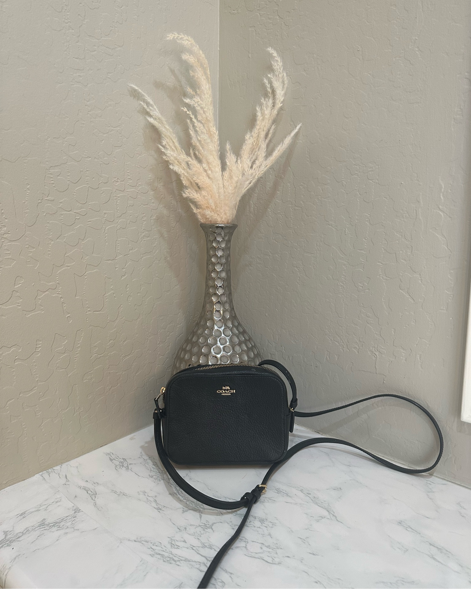 Coach bag, simple everyday bag 

#LTKitbag