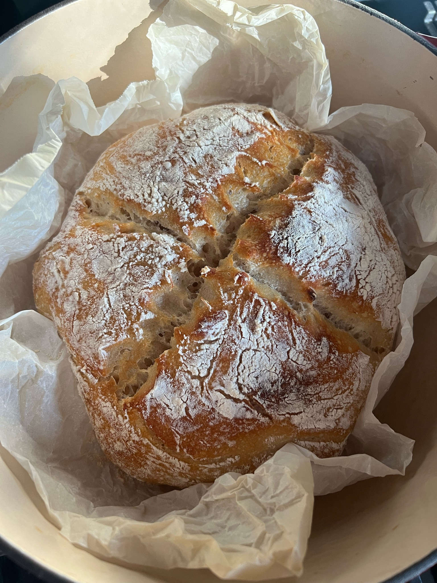 In my sourdough era 😋🍞

sourdough | bread | homemade breadd

#LTKFamily #LTKHome