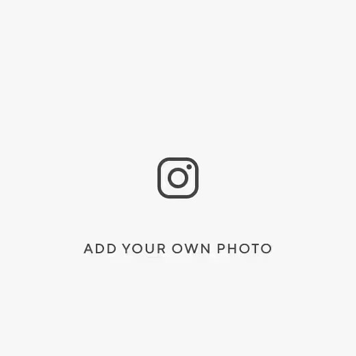 Rifle Paper Co. Valentine's Day Lion Pillow | Pottery Barn Kids