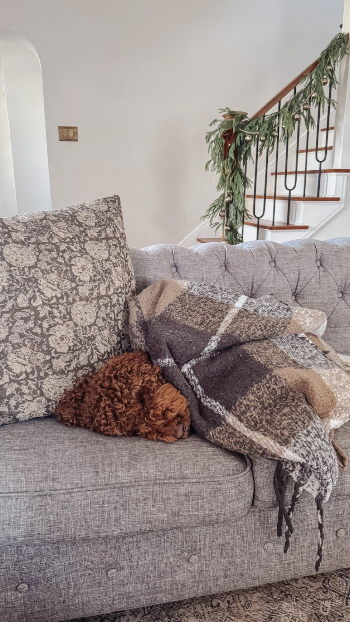 Cozy winter nap 😴 on our grey chesterfield sofa with brown floral pillow & plaid throw blanket. I can’t find the exact blanket to link to - so linking to similar options 🤎

#LTKStyleTip #LTKHoliday #LTKHome
