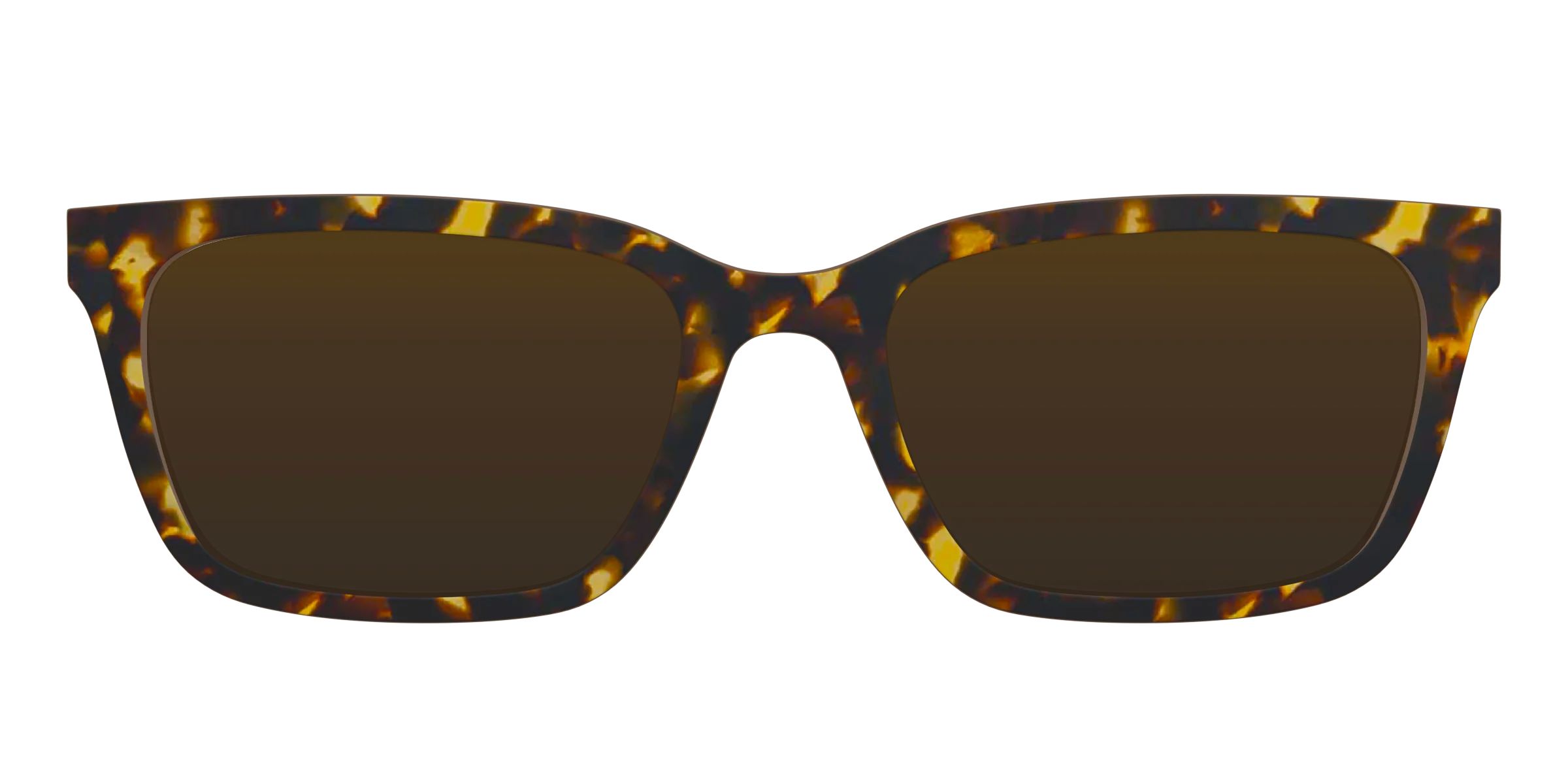 The Tortoise Sun Top | Pair Eyewear