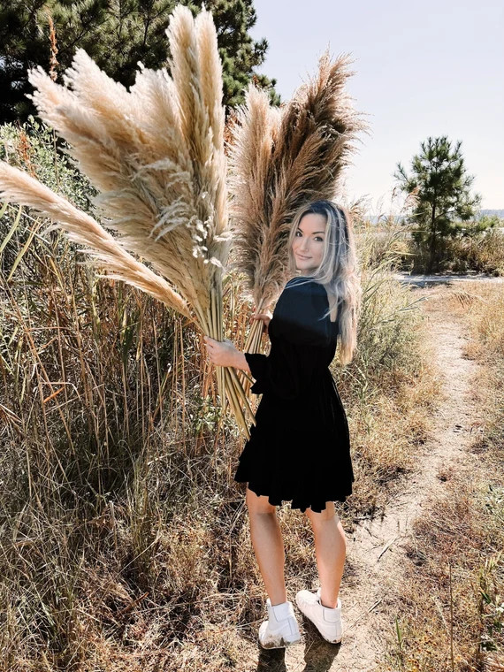 Tall Extra Large Natural & Fluffy Dried Premium Pampas Grass  - Etsy | Etsy (US)