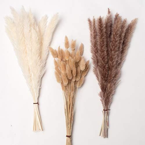 Total 80 Pcs, 17" Set | 30 Pcs White Pampas and Natural Dried Pampas Grass,50 Pcs Natural Rabbit ... | Amazon (US)