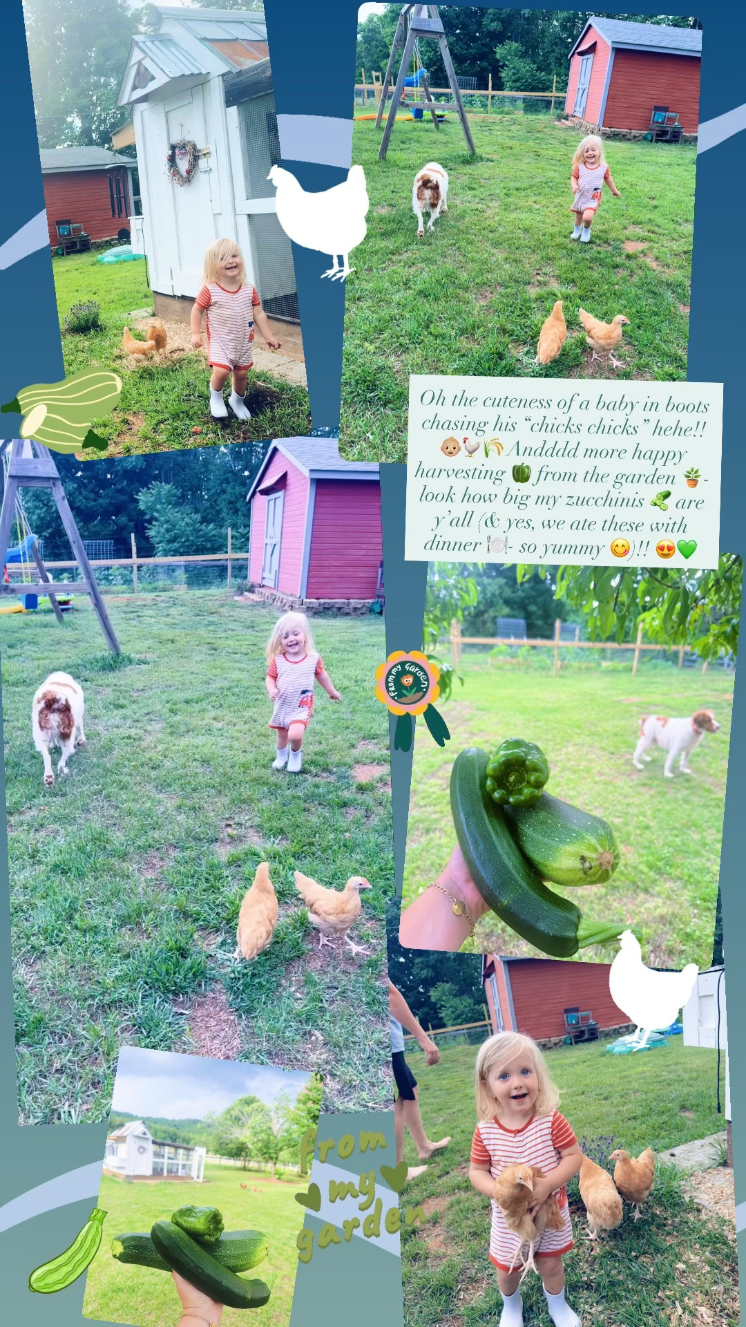 Oh the cuteness of a baby in boots chasing his “chicks chicks” hehe!! 👶🏼🐓🌾 Andddd more happy harvesting 🫑 from the garden 🪴- look how big my zucchinis 🥒 are y’all (& yes, we ate these with dinner 🍽️- so yummy 😋)!! 😍💚