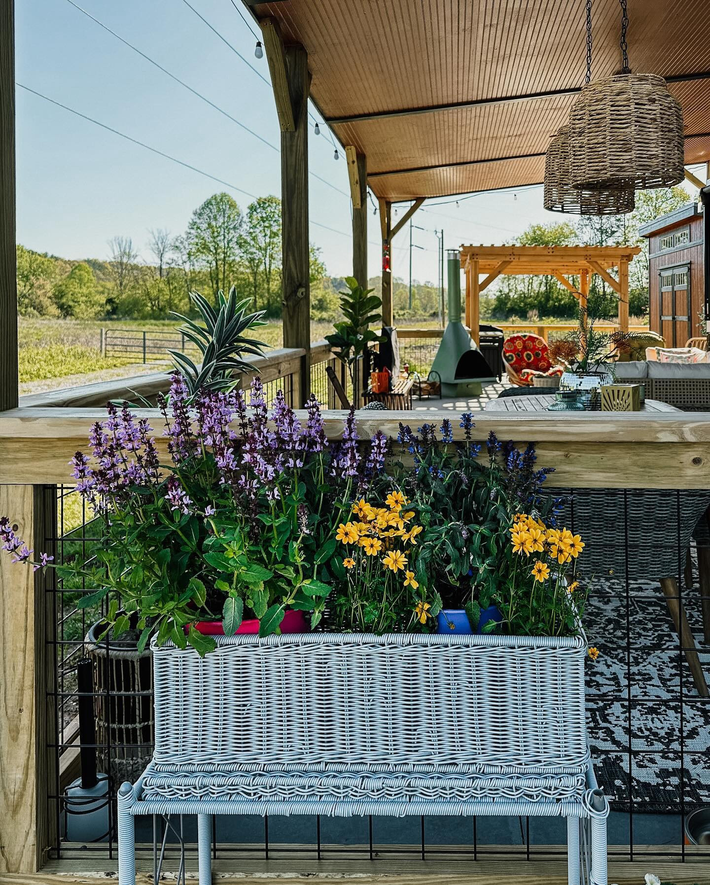 The sun is shining today after a chilly Monday ☀️ 
Sharing this beautiful view of freshly purchased flowers because I’m not sure how long I’ll keep them alive. I have taken for granted that we could grow anything in Florida and now I have to figure out how to grow in a colder climate. 

Any tips? 

#patiodecor #patiolife #rvliving #springflorals #northgamountains #flowergardens #rvlife #outdoorlivingspace