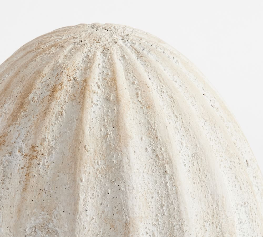 Weathered Rustic Eggs | Pottery Barn (US)