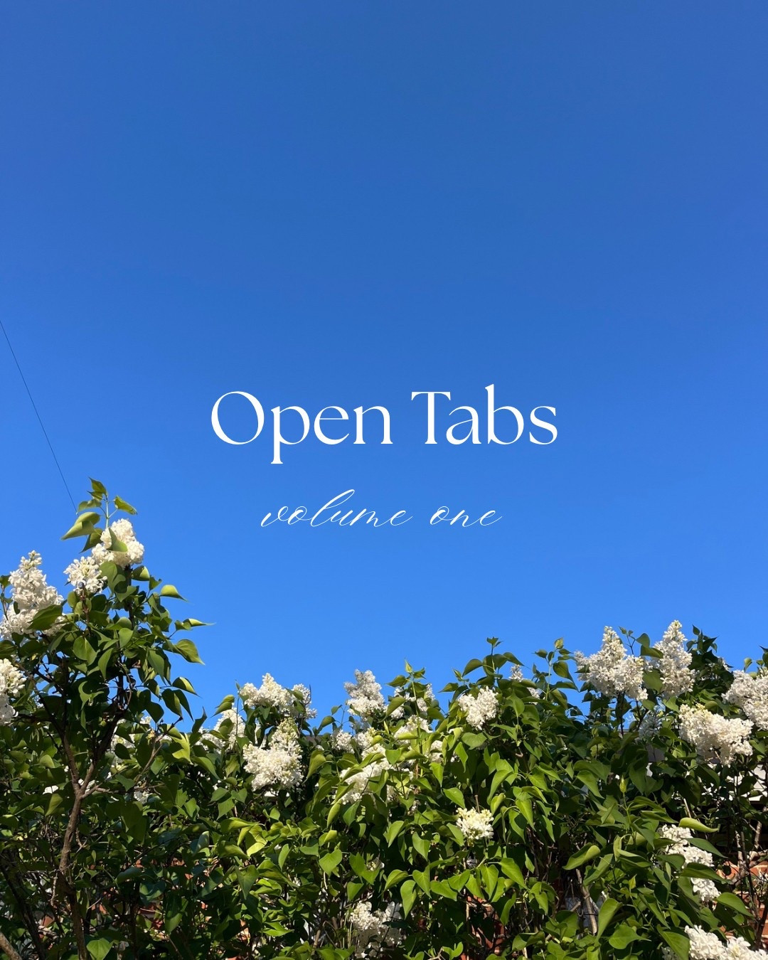 Summer items currently catching my eye  