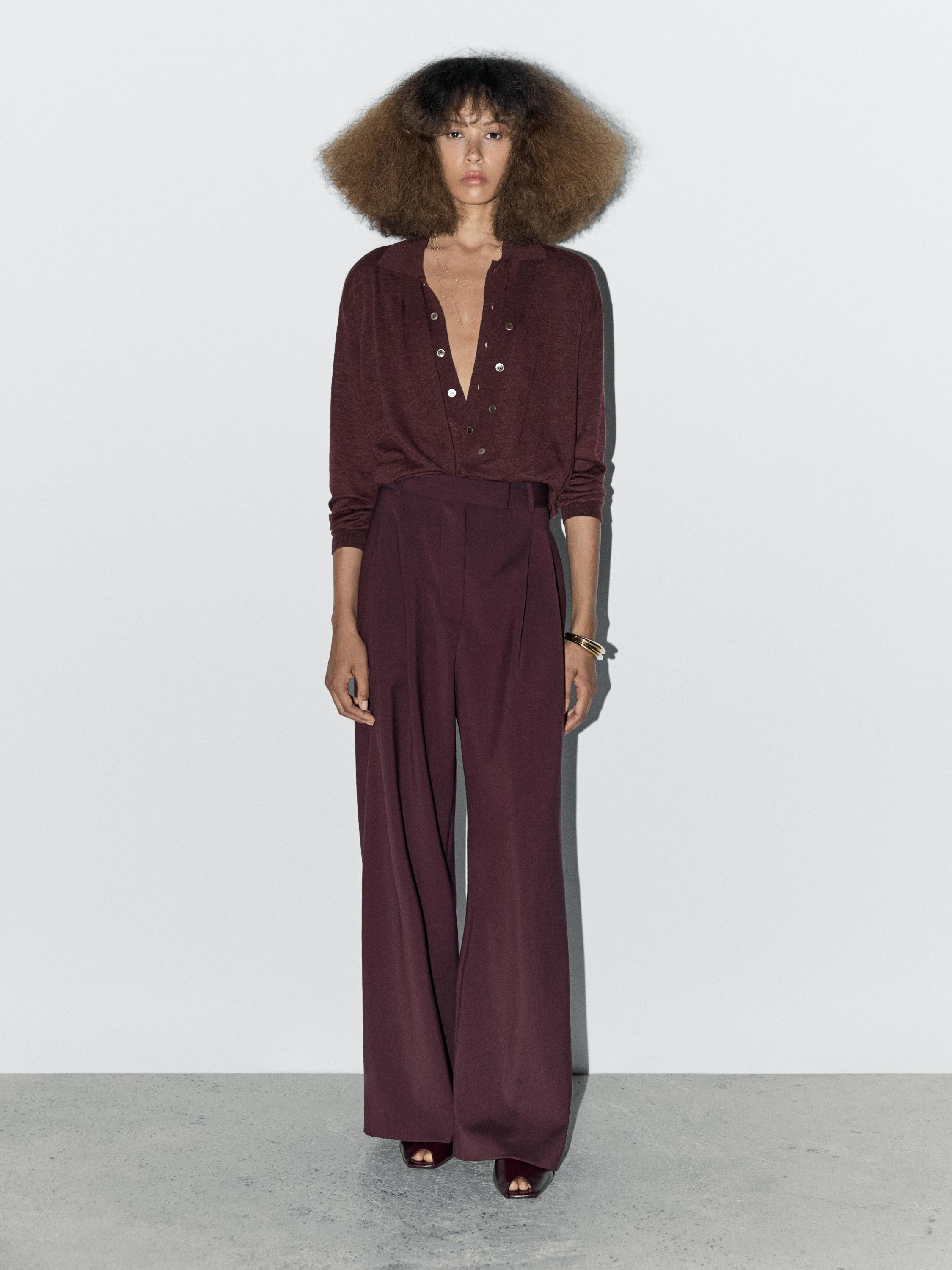 100% wool double darted trousers - STUDIO | Massimo Dutti UK