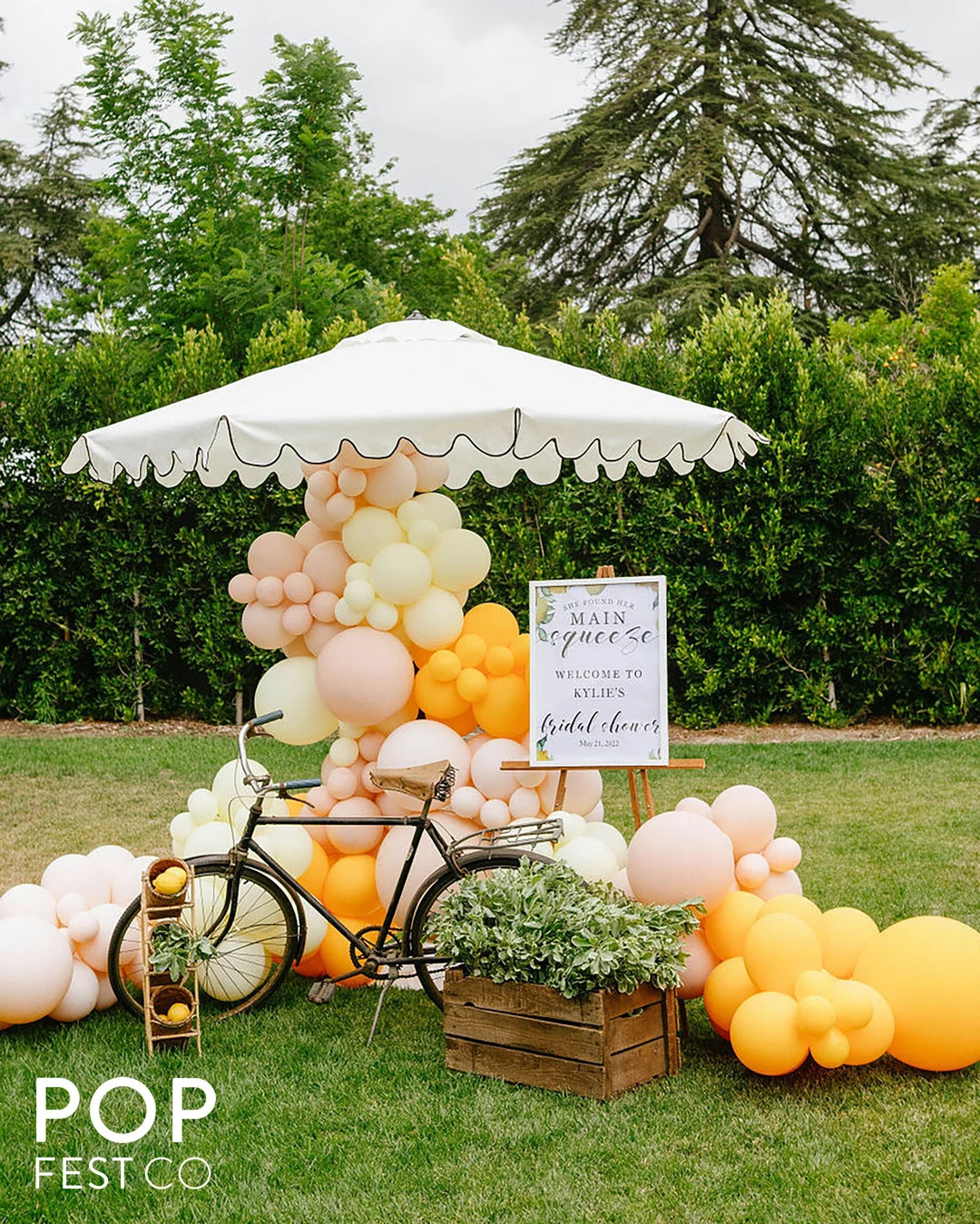 Pink, Lemon, Yellow, Blush DIY Double Stuffed MATTE Balloon Garland Kit Main Squeeze Balloon Arch... | Etsy (US)