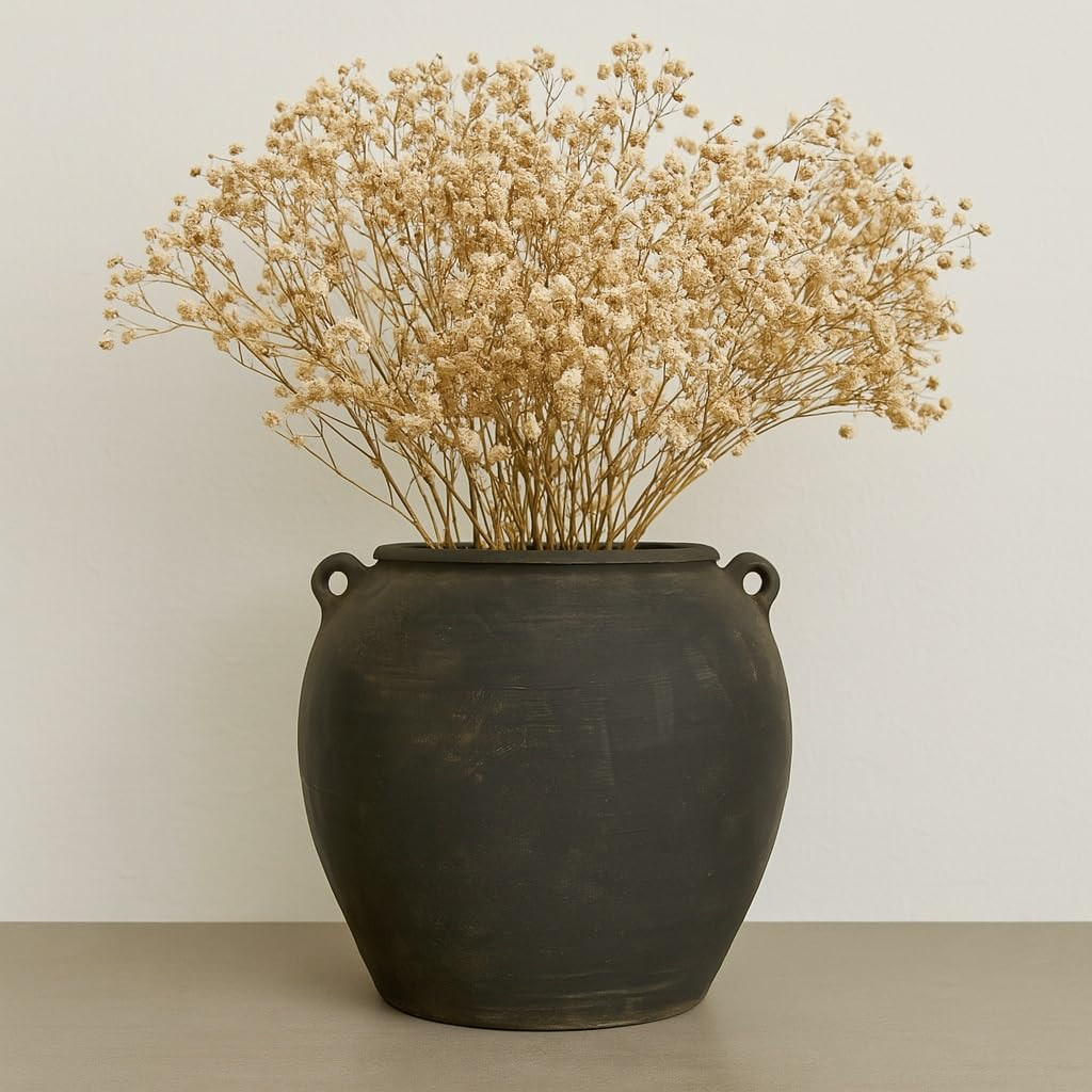 Artissance Vintage Charcoal Gray Ceramic Pottery Jar – Large 12'' Decorative Vase with Dual Han... | Amazon (US)