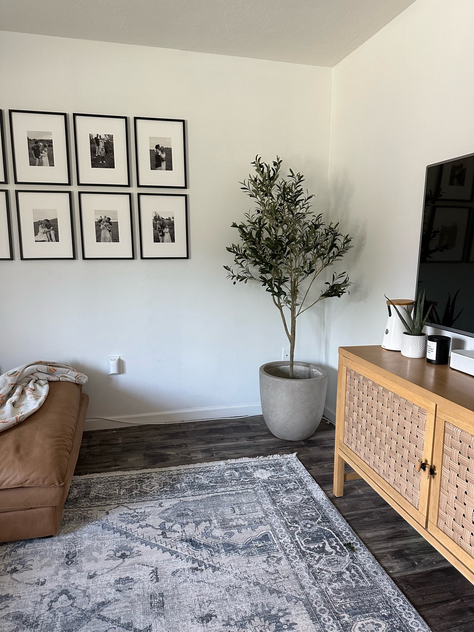 Linking my Etsy olive tree✨

#LTKhome #LTKfindsunder100 #LTKstyletip