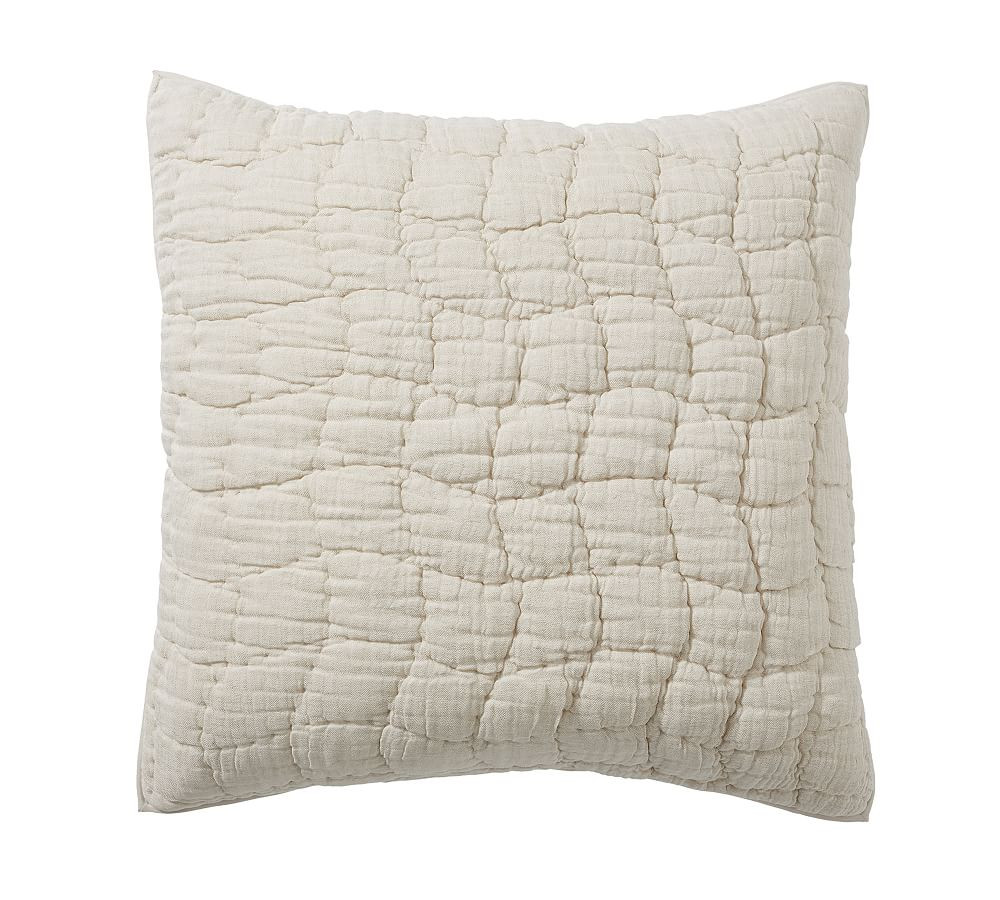 Cloud Quilted Sham | Pottery Barn (US)