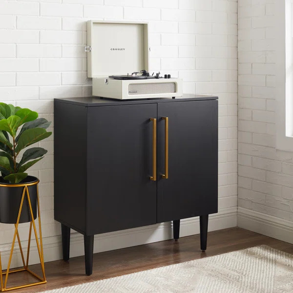 Dawne 2 - Door Accent Cabinet | Wayfair North America