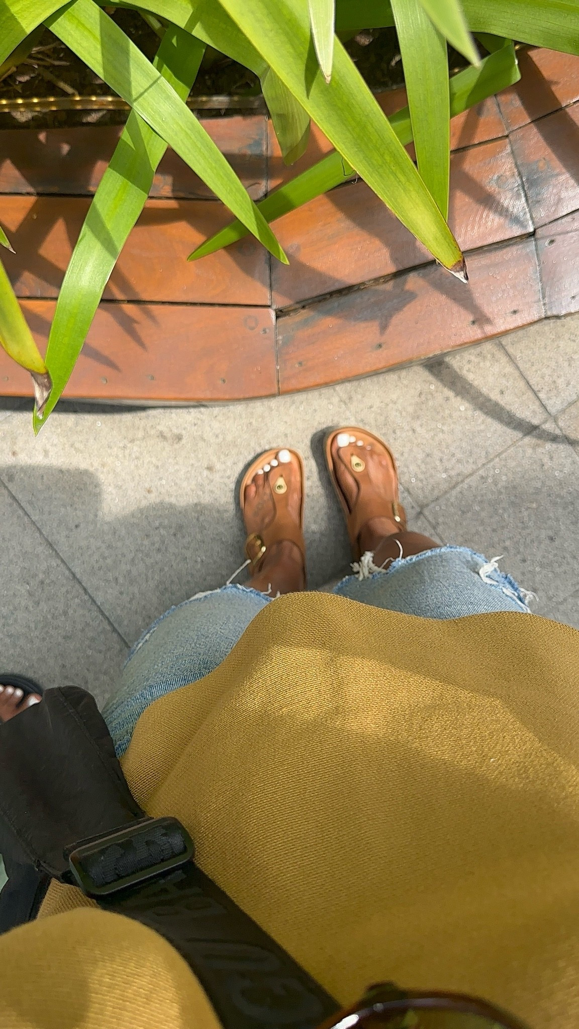 One of my cousins lived in Brazil about 20 somethin year ago… I kept saying that I was going to visit him and never made it happen. That definitely became a regret. Been busy with the puppy and new life changes buuuut ya girl was determined not to miss out on this trip, thank the Lord for finding a reliable puppy sitter.

Wearing my comfy travel look💕 ftts | sandals size 8

#LTKootd #LTKOver40 #LTKTravel