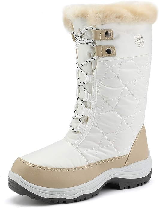 DREAM PAIRS Women's Warm Faux Fur Lined Mid-Calf Winter Snow Boots | Amazon (US)