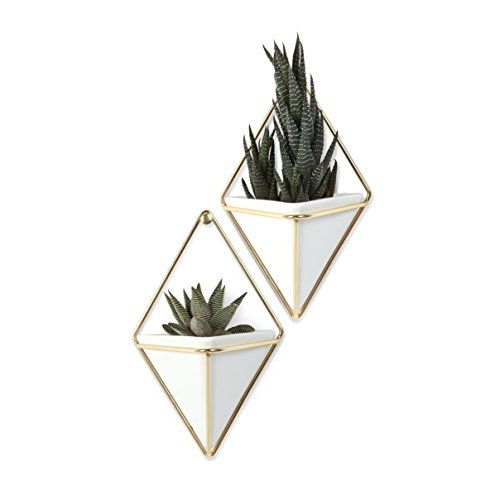 Umbra Trigg Hanging Container, Small, Set of 2, White/Brass | Amazon (US)